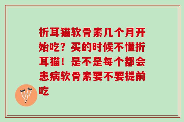 折耳猫软骨素几个月开始吃？买的时候不懂折耳猫！是不是每个都会患病软骨素要不要提前吃