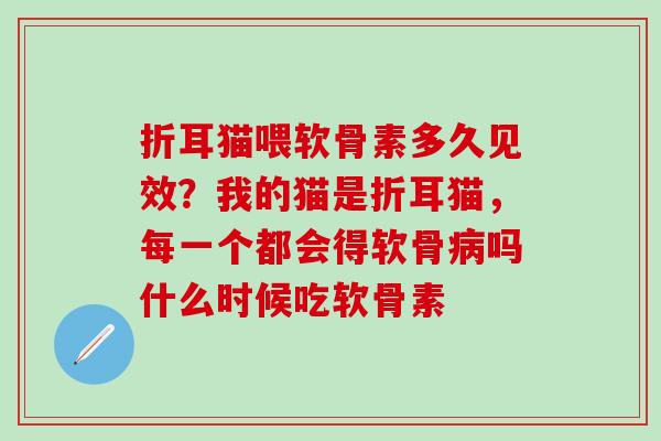 折耳猫喂软骨素多久见效？我的猫是折耳猫，每一个都会得软骨吗什么时候吃软骨素