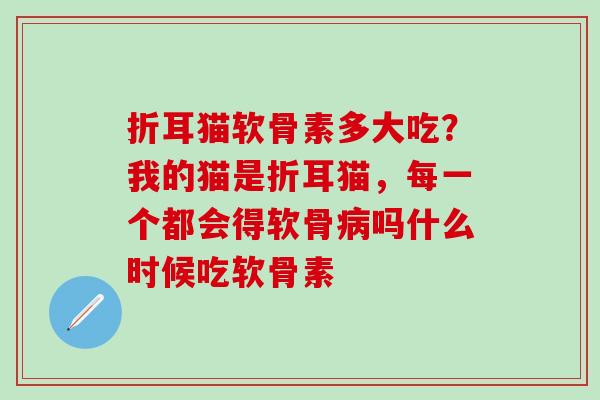 折耳猫软骨素多大吃？我的猫是折耳猫，每一个都会得软骨病吗什么时候吃软骨素