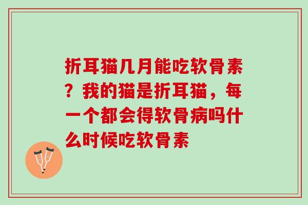 折耳猫几月能吃软骨素？我的猫是折耳猫，每一个都会得软骨病吗什么时候吃软骨素