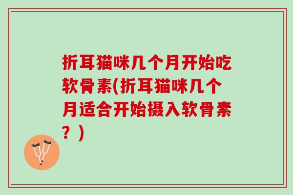 折耳猫咪几个月开始吃软骨素(折耳猫咪几个月适合开始摄入软骨素？)