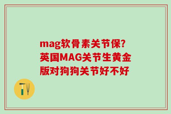 mag软骨素关节保?英国MAG关节生黄金版对狗狗关节好不好 mag软骨素关节保?英国MAG关节生黄金版对狗狗关节好不好
