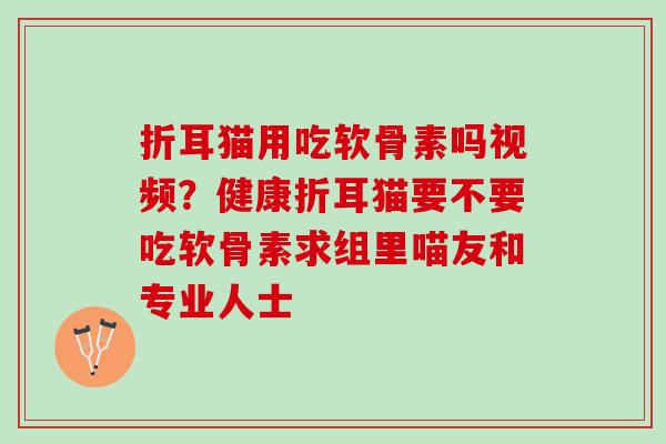 折耳猫用吃软骨素吗视频?健康折耳猫要不要吃软骨素求组里喵友和专业人士 折耳猫用吃软骨素吗视频?健康折耳猫要不要吃软骨素求组里喵友和专业人士