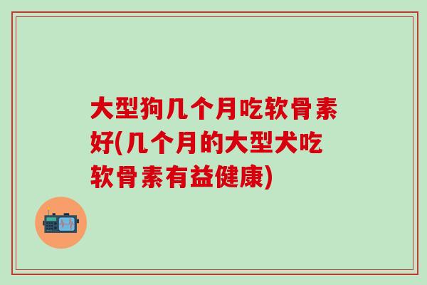 大型狗几个月吃软骨素好(几个月的大型犬吃软骨素有益健康)
