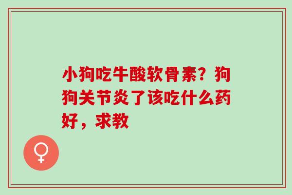 小狗吃牛酸软骨素？狗狗关节炎了该吃什么药好，求教