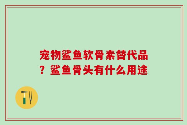 宠物鲨鱼软骨素替代品？鲨鱼骨头有什么用途
