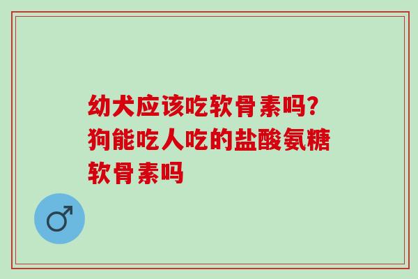 幼犬应该吃软骨素吗？狗能吃人吃的盐酸氨糖软骨素吗