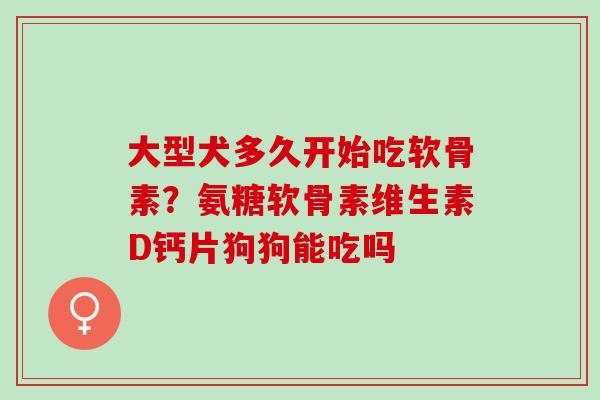 大型犬多久开始吃软骨素？氨糖软骨素维生素D钙片狗狗能吃吗