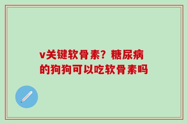 v关键软骨素？糖尿病的狗狗可以吃软骨素吗