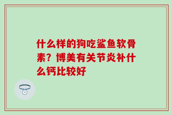 什么样的狗吃鲨鱼软骨素？博美有补什么钙比较好