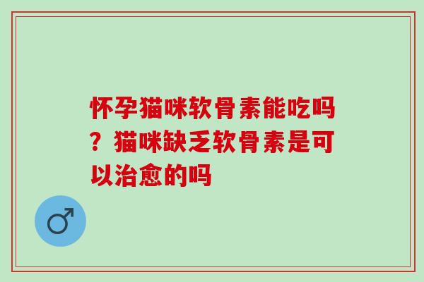 怀孕猫咪软骨素能吃吗？猫咪缺乏软骨素是可以愈的吗