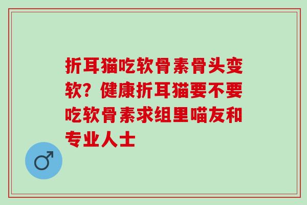 折耳猫吃软骨素骨头变软?健康折耳猫要不要吃软骨素求组里喵友和专业人士 折耳猫吃软骨素骨头变软?健康折耳猫要不要吃软骨素求组里喵友和专业人士