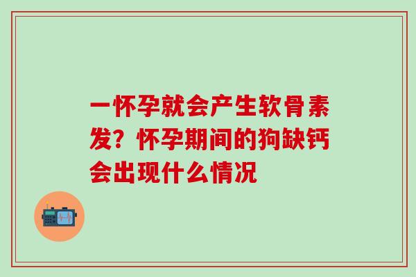一怀孕就会产生软骨素发?怀孕期间的狗缺钙会出现什么情况 一怀孕就会产生软骨素发?怀孕期间的狗缺钙会出现什么情况