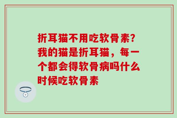 折耳猫不用吃软骨素？我的猫是折耳猫，每一个都会得软骨病吗什么时候吃软骨素