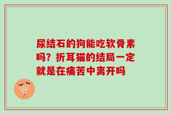尿结石的狗能吃软骨素吗？折耳猫的结局一定就是在痛苦中离开吗