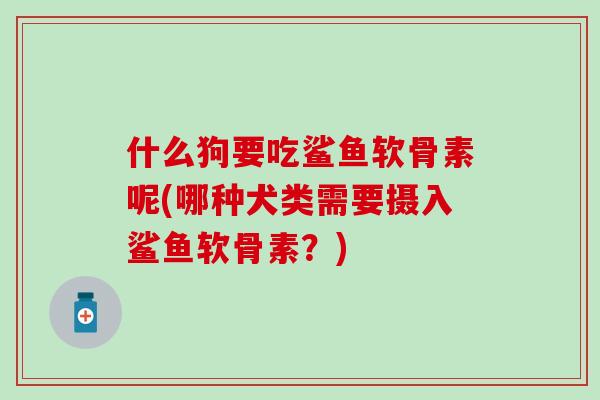 什么狗要吃鲨鱼软骨素呢(哪种犬类需要摄入鲨鱼软骨素？)
