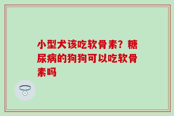 小型犬该吃软骨素？糖尿病的狗狗可以吃软骨素吗