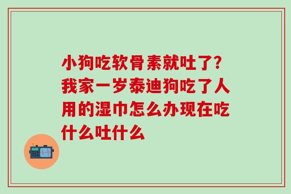 小狗吃软骨素就吐了？我家一岁泰迪狗吃了人用的湿巾怎么办现在吃什么吐什么
