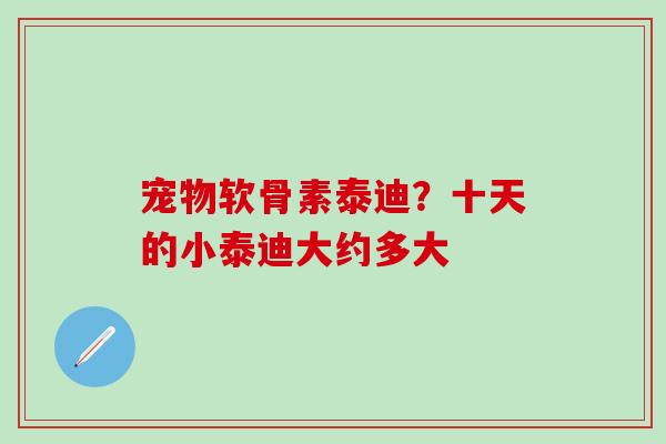 宠物软骨素泰迪？十天的小泰迪大约多大