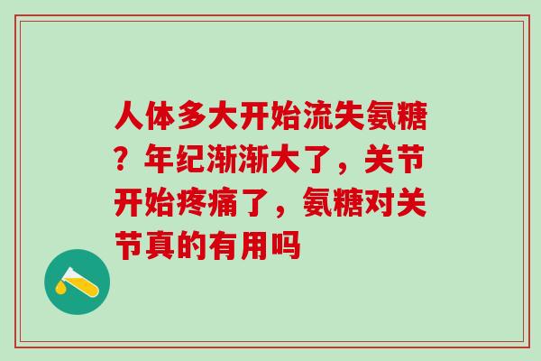人体多大开始流失氨糖？年纪渐渐大了，关节开始了，氨糖对关节真的有用吗