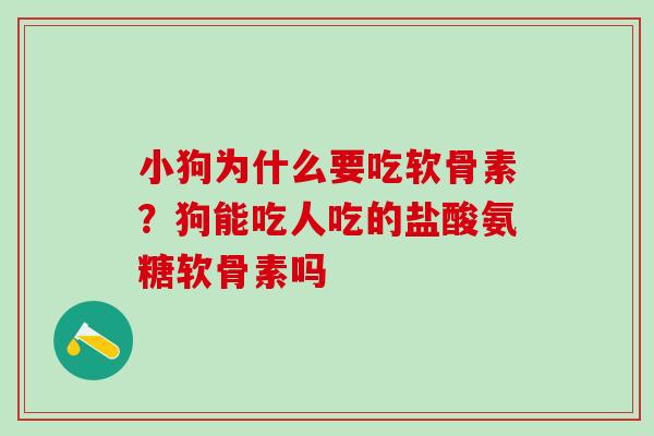 小狗为什么要吃软骨素?狗能吃人吃的盐酸氨糖软骨素吗 小狗为什么要吃软骨素?狗能吃人吃的盐酸氨糖软骨素吗