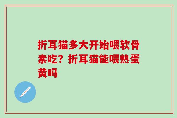 折耳猫多大开始喂软骨素吃?折耳猫能喂熟蛋黄吗 折耳猫多大开始喂软骨素吃?折耳猫能喂熟蛋黄吗