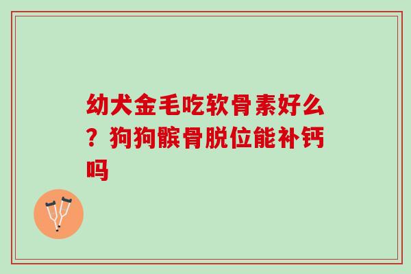 幼犬金毛吃软骨素好么？狗狗髌骨脱位能补钙吗