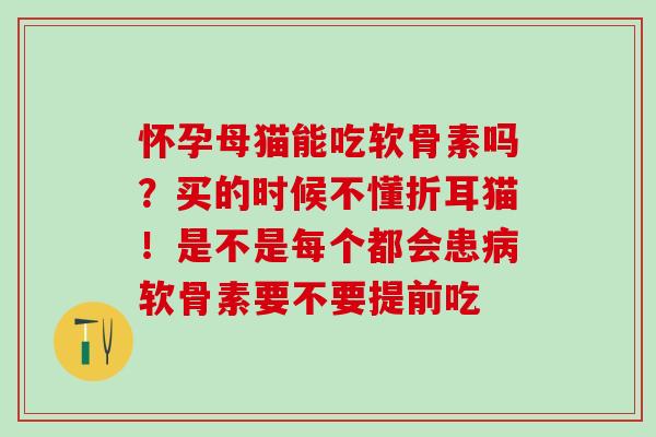 怀孕母猫能吃软骨素吗？买的时候不懂折耳猫！是不是每个都会患软骨素要不要提前吃