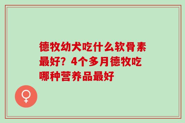 德牧幼犬吃什么软骨素最好？4个多月德牧吃哪种营养品最好