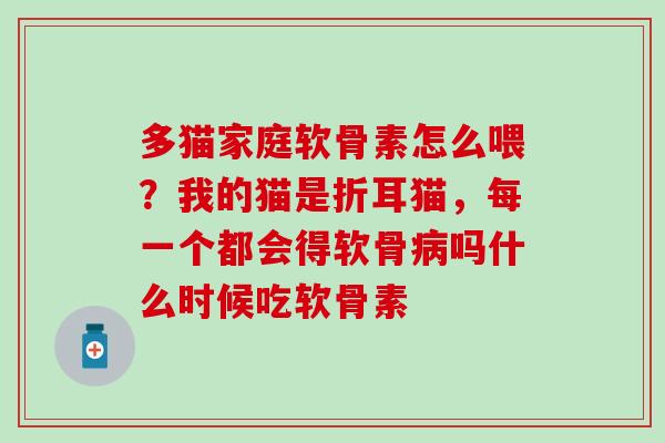 多猫家庭软骨素怎么喂？我的猫是折耳猫，每一个都会得软骨病吗什么时候吃软骨素