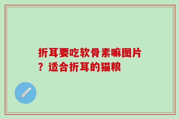 折耳要吃软骨素嘛图片？适合折耳的猫粮