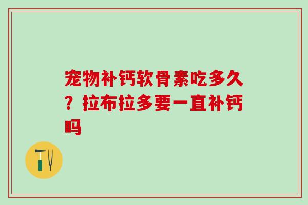 宠物补钙软骨素吃多久?拉布拉多要一直补钙吗 宠物补钙软骨素吃多久?拉布拉多要一直补钙吗