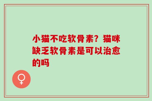 小猫不吃软骨素？猫咪缺乏软骨素是可以治愈的吗