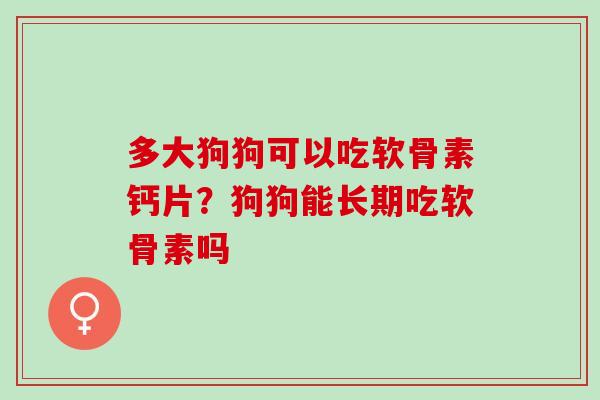 多大狗狗可以吃软骨素钙片？狗狗能长期吃软骨素吗