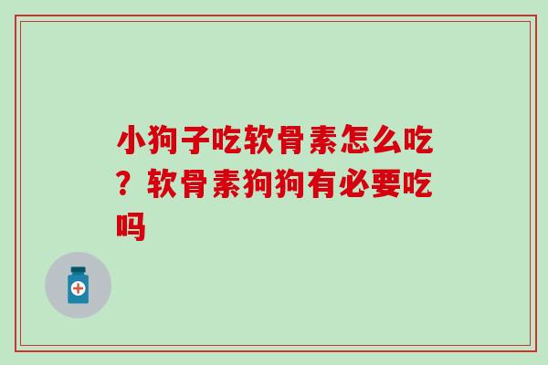 小狗子吃软骨素怎么吃？软骨素狗狗有必要吃吗