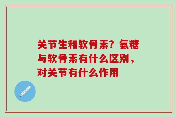 关节生和软骨素？氨糖与软骨素有什么区别，对关节有什么作用