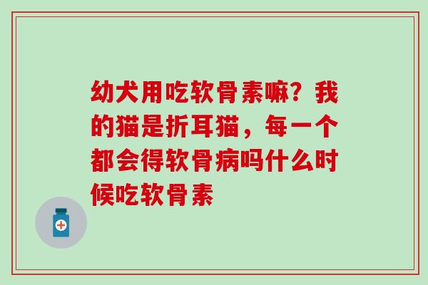 幼犬用吃软骨素嘛？我的猫是折耳猫，每一个都会得软骨病吗什么时候吃软骨素