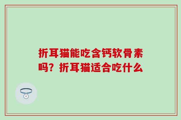 折耳猫能吃含钙软骨素吗？折耳猫适合吃什么