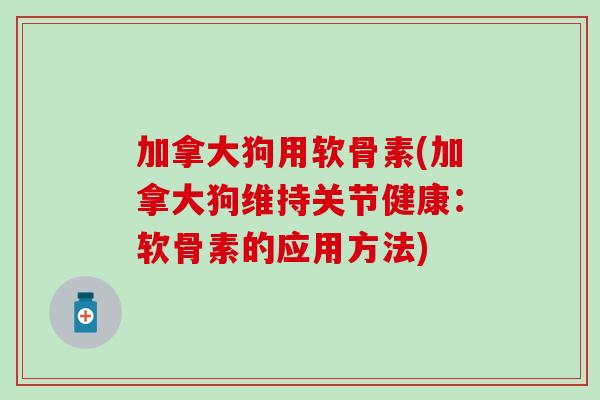 加拿大狗用软骨素(加拿大狗维持关节健康：软骨素的应用方法)