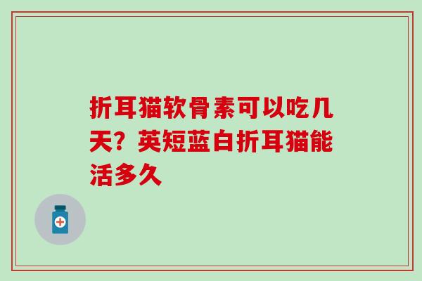 折耳猫软骨素可以吃几天？英短蓝白折耳猫能活多久