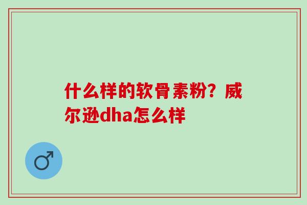 什么样的软骨素粉？威尔逊dha怎么样