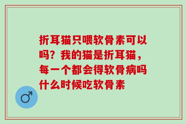 折耳猫只喂软骨素可以吗?我的猫是折耳猫,每一个都会得软骨吗什么时候吃软骨素 折耳猫只喂软骨素可以吗?我的猫是折耳猫,每一个都会得软骨吗什么时候吃软骨素