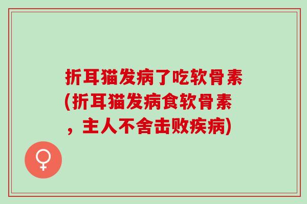 折耳猫发病了吃软骨素(折耳猫发病食软骨素，主人不舍击败疾病)