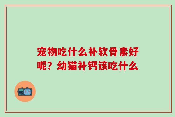 宠物吃什么补软骨素好呢？幼猫补钙该吃什么