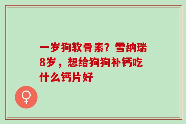 一岁狗软骨素？雪纳瑞8岁，想给狗狗补钙吃什么钙片好