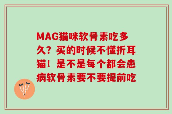 MAG猫咪软骨素吃多久？买的时候不懂折耳猫！是不是每个都会患病软骨素要不要提前吃