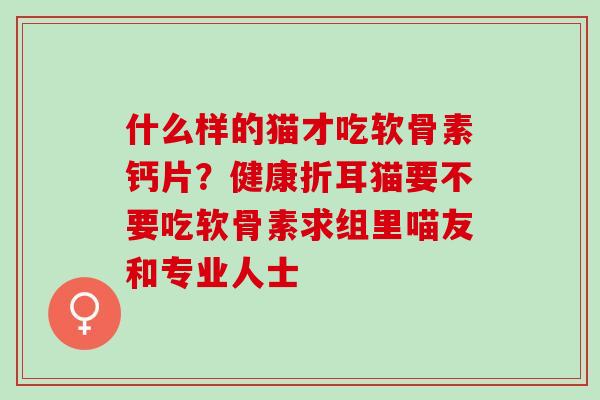 什么样的猫才吃软骨素钙片？健康折耳猫要不要吃软骨素求组里喵友和专业人士