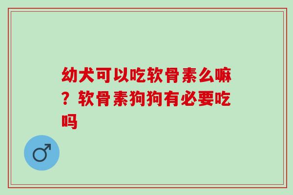 幼犬可以吃软骨素么嘛？软骨素狗狗有必要吃吗