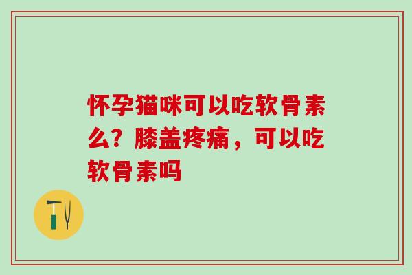 怀孕猫咪可以吃软骨素么？膝盖疼痛，可以吃软骨素吗