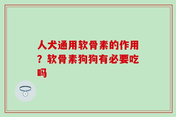 人犬通用软骨素的作用?软骨素狗狗有必要吃吗 人犬通用软骨素的作用?软骨素狗狗有必要吃吗